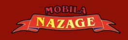 Nazage-Construct S.R.L.- Mobilier MDF, Pal, Lemn Masiv, Birou, Bucatarie, Dormitor, Hol, Horeca, Jaluzele, Canapele, Comode, Dressing - Botosani